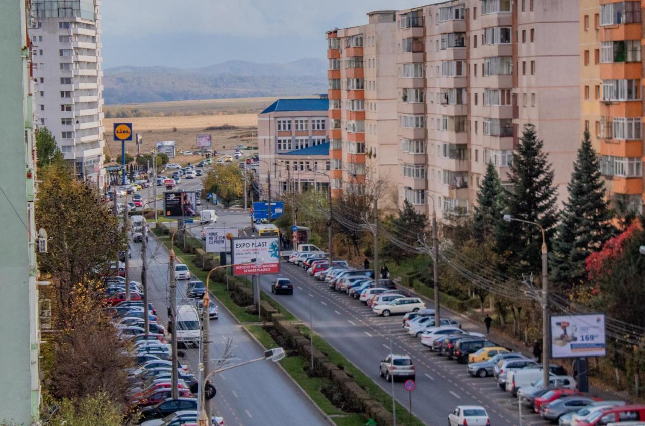 Butterfly Apartment Sibiu Dış mekan fotoğraf